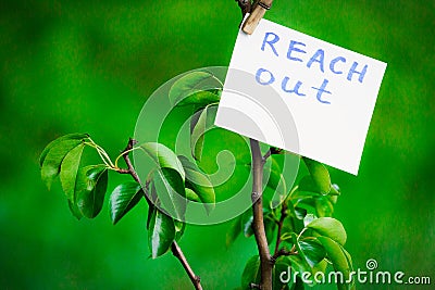 Motivating phrase reach out. On a green background on a branch is a white paper with a motivating phrase. Stock Photo