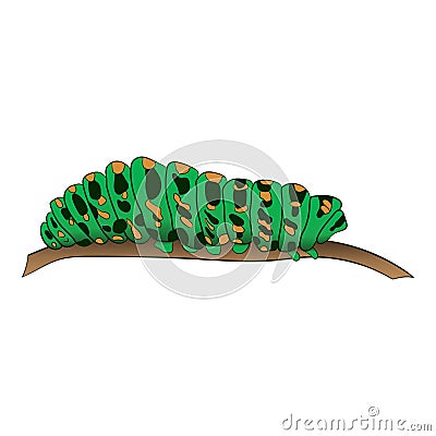 Motley green caterpillar creeps along the branch. Vector illustration. Drawing by hand. Vector Illustration