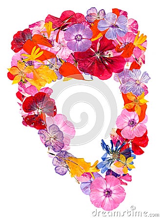 Motley multicolored applique clearing of dried pressed flowers Stock Photo