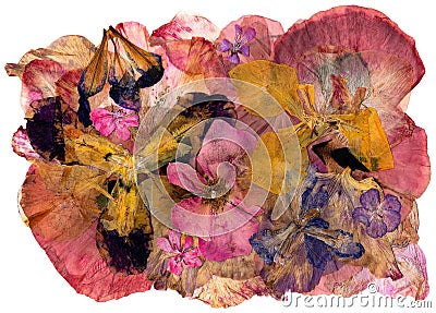 Motley multicolored applique clearing of dried pressed flowers Stock Photo