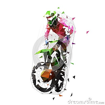 Motocross rider with motorcycle, isolated low poly illustration Vector Illustration