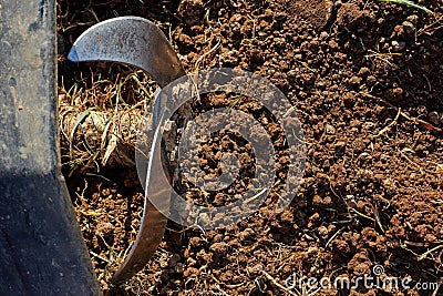 Motor cultivator on soil. Stock Photo