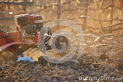 motor cultivator that digs the ground for growing vegetables Editorial Stock Photo