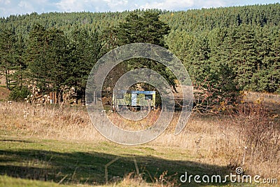 Motor home in park forest mountain in autumn vibrant woodland trees vacation weekend concept Stock Photo