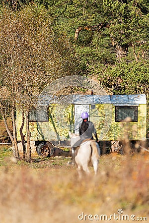 Motor home in park forest mountain in autumn vibrant woodland trees vacation weekend concept Stock Photo