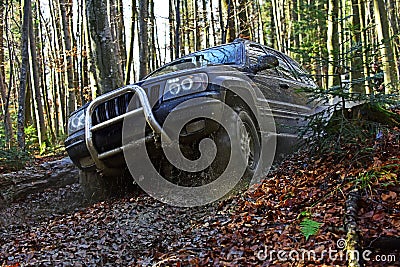 Motor racing in autumn forest. Offroad race on fall nature background. Sport utility vehicle or SUV overcomes obstacles Stock Photo