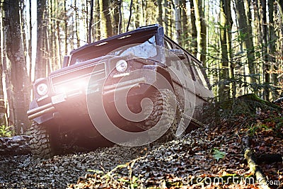 Motor racing in autumn forest. Sport utility vehicle or SUV overcomes obstacles. Offroad race on fall nature background Stock Photo