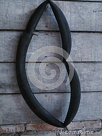 a motorcycle inner tube hanging on an old plank wallbackground Stock Photo