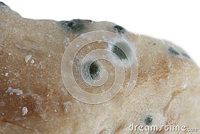 Mould growing on bread - macro photo Stock Photo