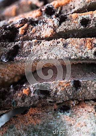 Mouldy moldy bread. Close-up Stock Photo