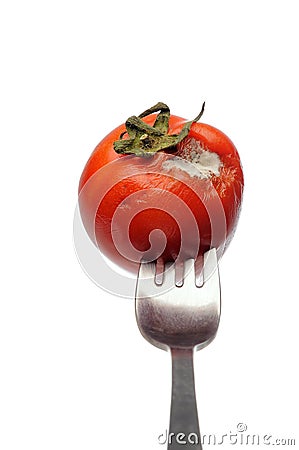 Mouldy Tomato, fruit. vertical Stock Photo