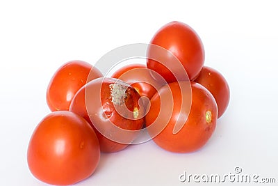 Mouldy Tomato Stock Photo