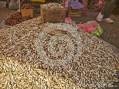 A mound of dried pumpkin seeds at the street market in Teloloapan, Guerrero. Travel in Mexico Stock Photo