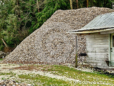 Mound of Oyster Shells Stock Photo