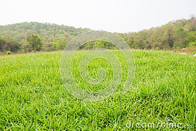 mound slope green grass Stock Photo