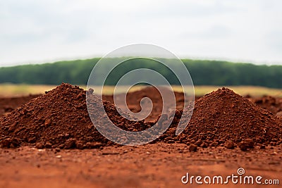 Mound of soil promises potential for nurturing plants and sustaining ecosystems concept Stock Photo