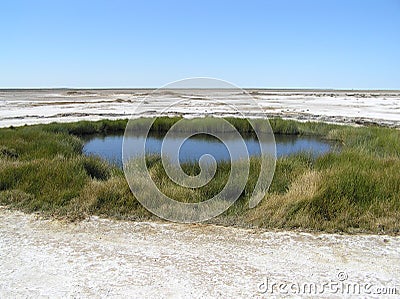 Mound Spring Stock Photo