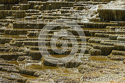 Mound Spring in the Mammoth Hot Springs Area Stock Photo