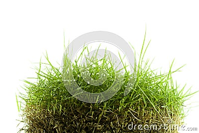 Mound of zoysia wet grass Stock Photo