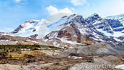 Mount Andromeda, Mount Athabasca, Hilda Peak and Boundery Peak south of the Athabasca Glacier in the Columbia Icefields Stock Photo