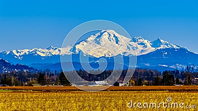 Mount Baker from Glen Valley near Abbotsford BC Canada Stock Photo