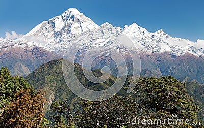 Mount Dhaulagiri - Nepal Stock Photo