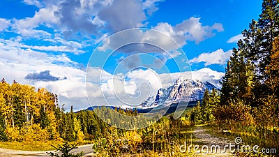 Mount Fitzwilliam, East on the Yellowhead Highway, part of the Canadian Rockies. The lower half is dolomite Stock Photo