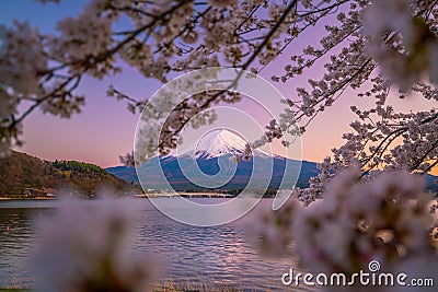 Mount Fuji with Cherry Blossom sakura, view from Lake Kawaguchiko Stock Photo