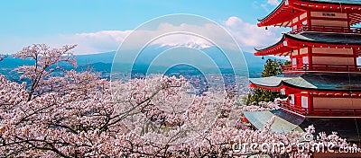 Mount Fuji with Chureito red Pagoda, blue sky and beautiful Cherry Blossom or pink Sakura flower tree in Spring Season at Fujiyosh Stock Photo