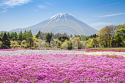 Mount Fuji Stock Photo