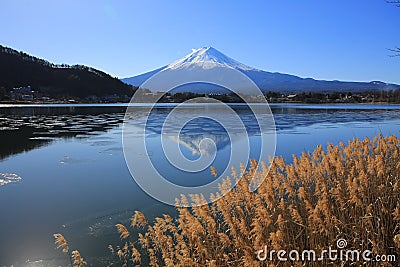 Mount fuji reflection in season of autumn Stock Photo