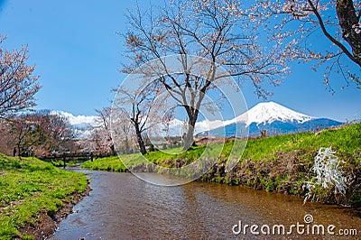 Mount Fuji, sakura trees and streams During the day with a clear sky in a rural area in Yamanashi prefecture Stock Photo