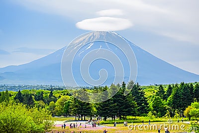 Mount Fuji view behind colorful flower field at Fuji Shibazakura Festival Editorial Stock Photo