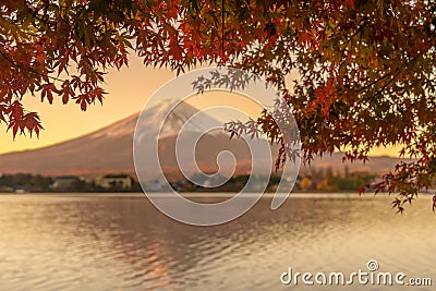 Mount Fuji view at Lake Kawaguchi in Autumn season. Mt Fujisan in Fujikawaguchiko, Yamanashi, Japan. Landmark for tourists Stock Photo