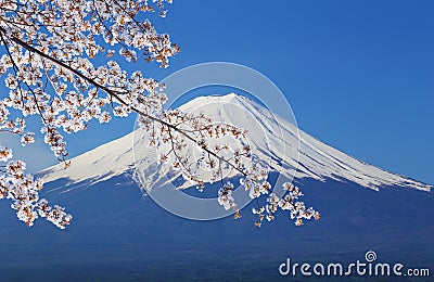 Mount Fuji, view from Lake Kawaguchiko Stock Photo