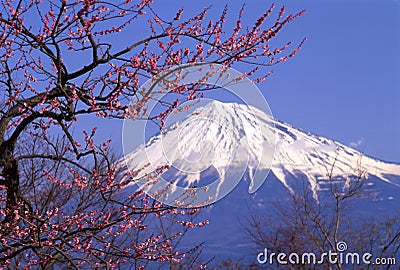 Mount Fuji XXIII Stock Photo