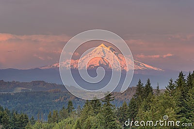 Mount Hood Alpenglow Sunset Stock Photo