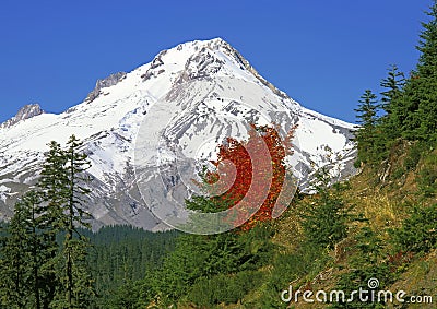 Mount Hood, Oregon Stock Photo