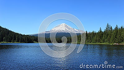 Mount Hood on Trillium Lake Stock Photo
