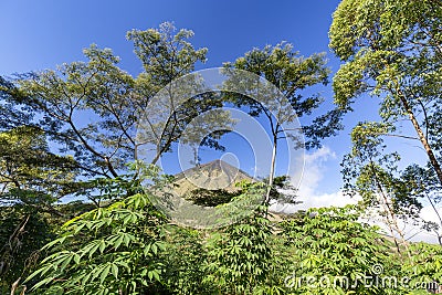 Mount Inerie and trees Stock Photo