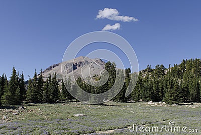 Mount Lassen Volcanic Peak Stock Photo