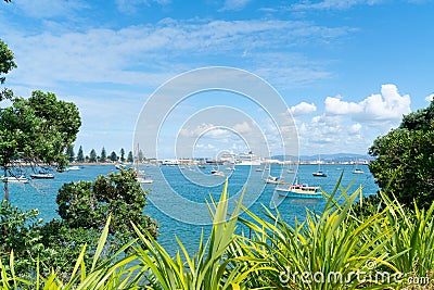 Pilot Bay framed by pohutukawa and bright green flax with Cruise ship Norwegian Jewel berthed at wharf Editorial Stock Photo