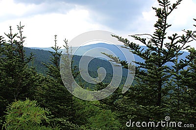 Mount Mitchell State Park View Stock Photo