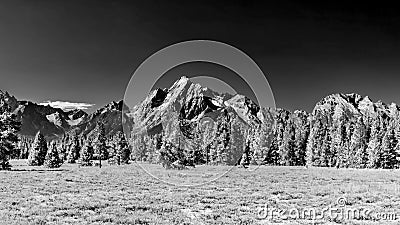 Mount Moran and Bivouac Peak from the potholes in Black and white Stock Photo