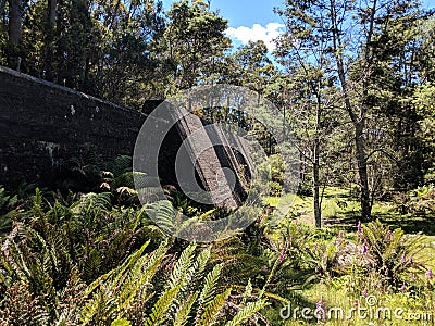 Mount Paris Dam Wall Tasmania Stock Photo