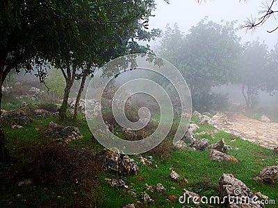 Mount Precipice in Nazareth in the Galilee region in Israel Stock Photo