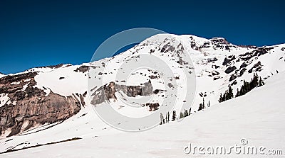 View of Mount Rainier from Paradise Valley. Stock Photo