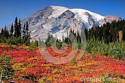 Mount Rainier fall colors Stock Photo