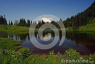 Mount Rainier & Tipsoo Lake Stock Photo