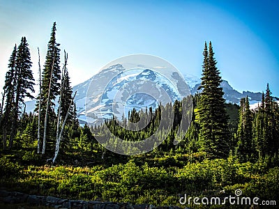 Mount Ranier Landscape Stock Photo